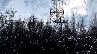 status,status video,status song,status whatsap,beast song,good song,video,natural 451