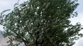 status,status video,status song,status whatsap,beast song,good song,video,natural 453