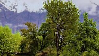 status,status video,status song,status whatsap,beast song,good song,video,natural 459