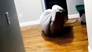Funny Cat ???????? 3