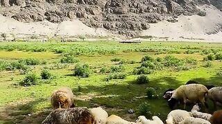 status,status video,status song,status whatsap,beast song,good song,video,natural 477