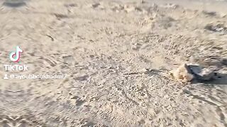 رحلة بحرية