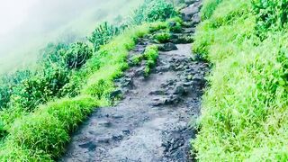 Fort of pune