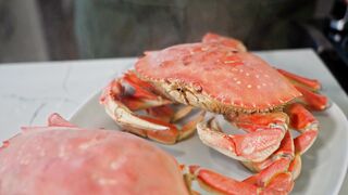 "Savoring Sensations: Delightful Culinary Escapes"