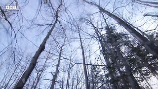 How Do Animals Survive Freezing Winters_ _ How Nature Works _ BBC Earth