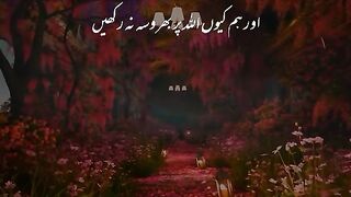 Quran 293