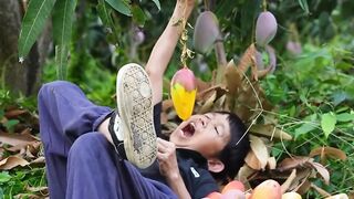 Hainan Guifei Mango