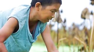 Let’s dig lotus roots together.
