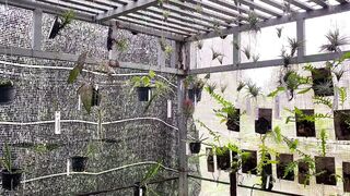 Calm atmosphere inside green house
