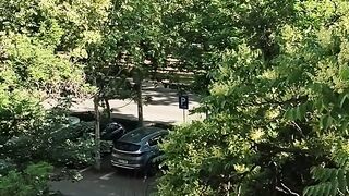 Peisaj verde