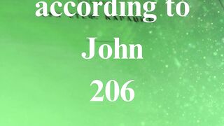 The Gospel according to John 206