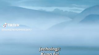 Kung fu 2