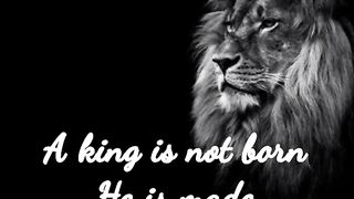 Attitude status 12