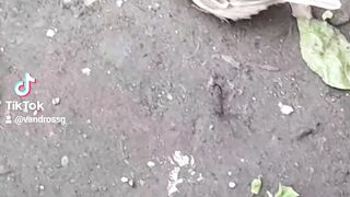 Message of hope from God