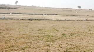Visit the Site of Form