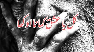 How to panjabi shairy ????????????????