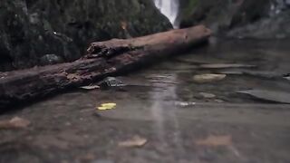 Varis Subaru STi in [4K] Happy Endings