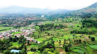 Beautiful view 110