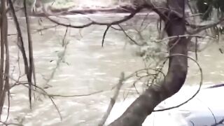 Humans won't learn anything
