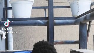 amazing video 17