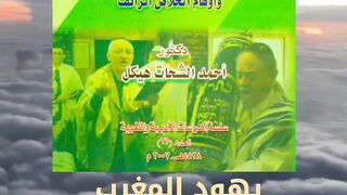 كتاب يهود المغرب في الادب العبري الحديث تأليف احمد الشحات هيكل