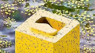 هدووووء