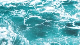 The Indian Ocean holds various tectonic plates