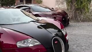 Dream for success.lifestyle 2024