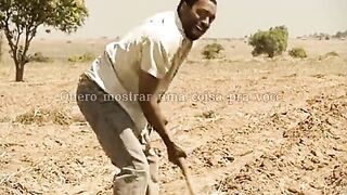 O menino que descobriu o vento