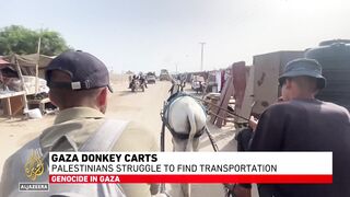 Palestinians in Gaza replace cars with donkey carts amid shortages