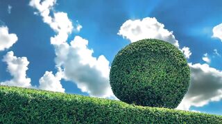 Amazing Green Garden @1MinuteVideo