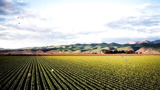 HD Farm near the Mountains Video_Background - No Text - No Sound @OneMinuteVideo.
