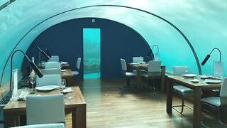 Underwater Restaurant - Royalty Free - Stock Footage.