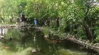 Lake Bucharest 2