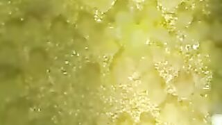 Begini proses Larva lele keluar dari telur❗Masyaallah  luar biasa kekuasaan mu ya Robb