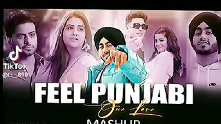 Punjab 8