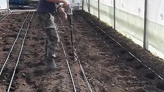 Holes for planting plants with a drill