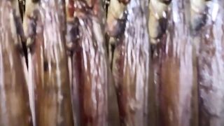 Astrakhan fish