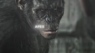 What a wonderful day, planet of the apes