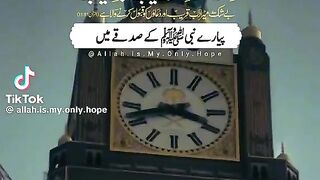 video 477