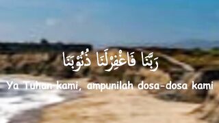 video 481