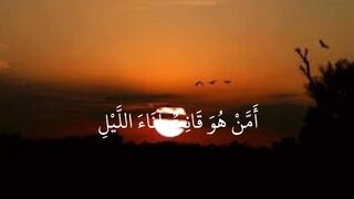 video 492