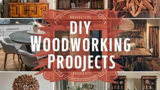 Transform Your Pet's Life with 10 Exciting DIY Projects