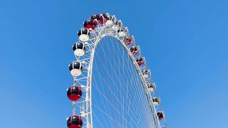 "Screams of Delight: Exciting Attractions at the Theme Park"