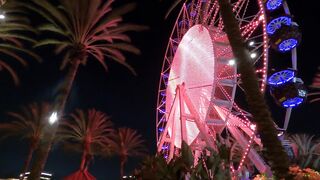 "Whimsical Wonderland: Smiles and Laughter at the Park"