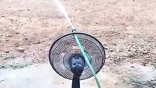 Watering the garden with a hose and a fan