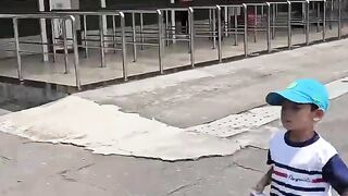 ANIMAL VIRAL 3