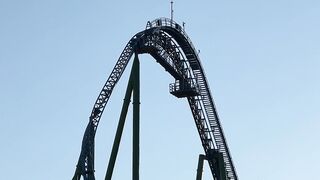 "Fantasyland Frenzy: Joyous Moments in the Park of Dreams"
