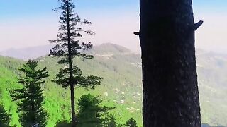 Life so beautiful
