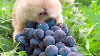 Very cute and beautiful